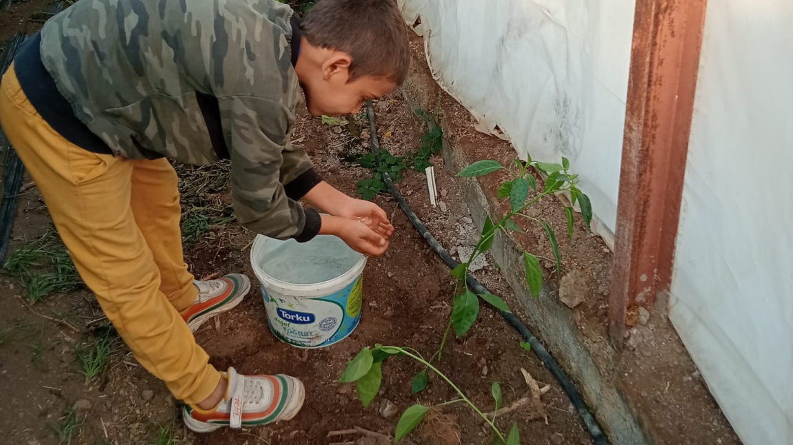 AHENK PROJESİ YAŞAM BERCERİLERİ