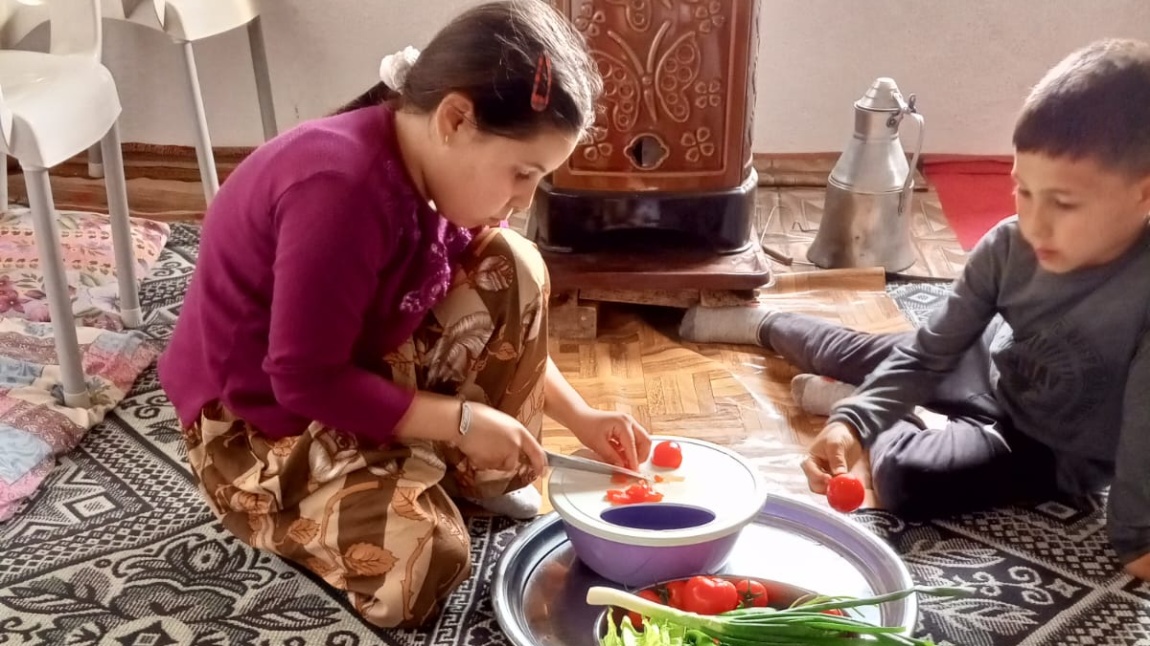 AHENK PROJESİ YAŞAM BERCERİLERİ